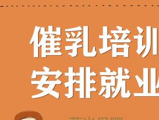 專業(yè)乳房保健與產(chǎn)后康復(fù) 成都圖催乳師公司一站式服務(wù)解決方案